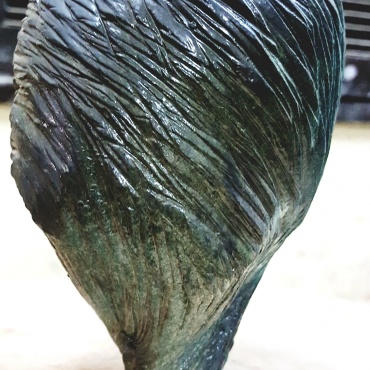 زهرية سيراميك